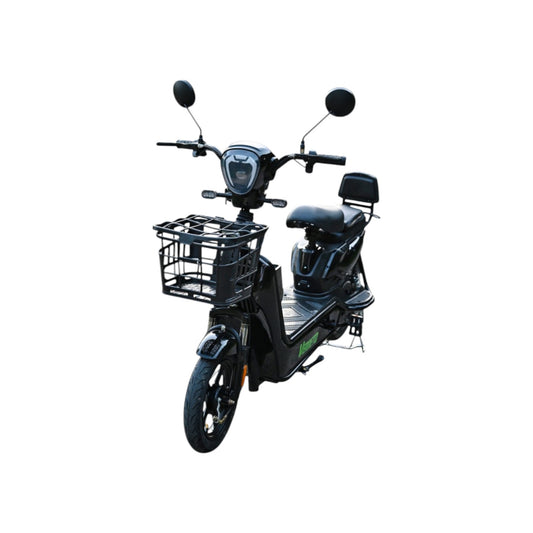 Verdeto E-bike, Električni bicikl